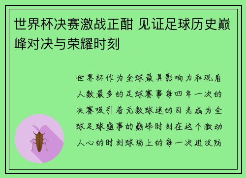 世界杯决赛激战正酣 见证足球历史巅峰对决与荣耀时刻