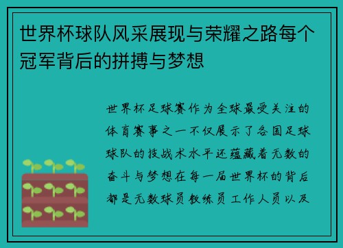 世界杯球队风采展现与荣耀之路每个冠军背后的拼搏与梦想